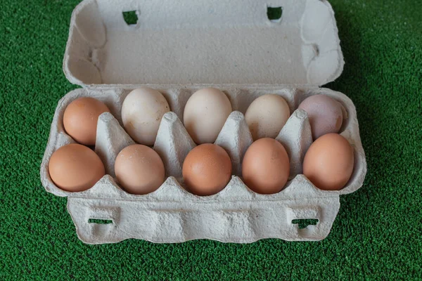Organic chicken eggs from the farm. Homemade eggs — Stockfoto