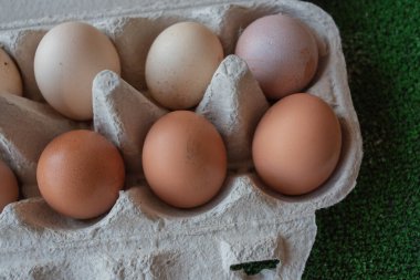Çiftlikten organik tavuk yumurtası. Ev yapımı yumurta.