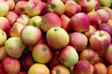 Kırmızı elmalar. Elmalar. Tasarımcılar için arkaplan olarak elmalar. Markette veya süpermarkette bir sürü elma var..