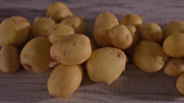 Молода Сира Картопля Лежить Столі Сезон Літні Овочі — стокове відео