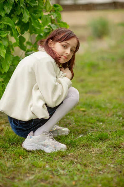 Porträt Eines Kleinen Mädchens Mädchen Jahre Alt Vertreter Der Alpha — Stockfoto