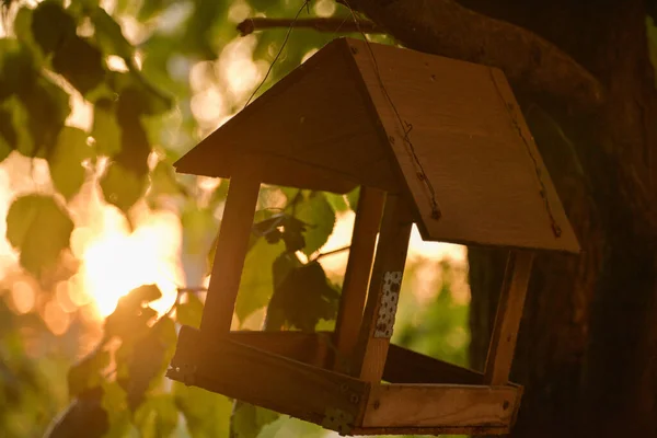 Σπίτι Πουλιών Ένα Κλαδί Δέντρου Ξύλινο Σπιτάκι Πουλιών Ένα Δέντρο — Φωτογραφία Αρχείου