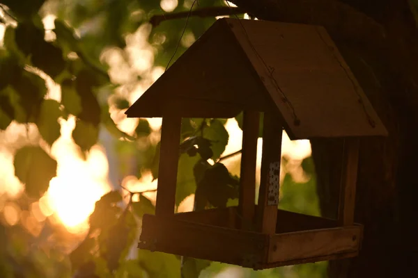 Vogelhäuschen Auf Einem Ast Hölzernes Vogelhaus Auf Einem Baum Wald — Stockfoto