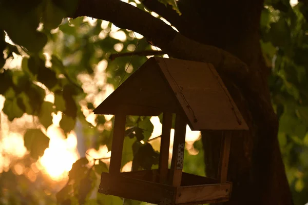 Vogelhuisje Aan Een Boomtak Houten Vogelhuisje Aan Een Boom Het — Stockfoto