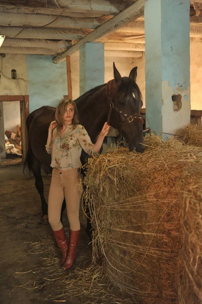 Rapariga Cavalo Rapariga Cavalo Estábulo Conceito Homem Animal Retrato Uma — Fotografia de Stock