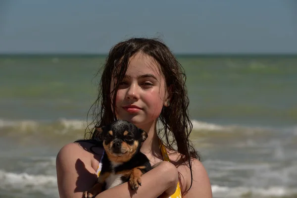 Menina Bonita Brincando Com Cão Retrato Livre Série Cão Marinho — Fotografia de Stock