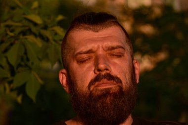 Yeşil arka planda sakallı bir adam. Gün batımında 40 yıllık sakallı bir adamın büyük yüz portresi. Tam yüz portresi. Siyah tişörtlü adam.