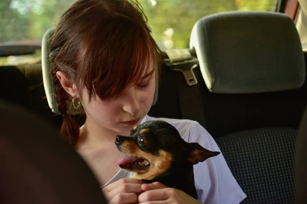 Vacation, Travel - Girl with dog ready for the travel for summer vacation. Dog in a car with a girl. Teen and Chihuahua