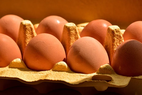 Ouă Pui Hârtie Galbenă Kraft Ouă Pui Ouă Într Cutie — Fotografie, imagine de stoc