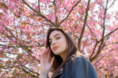 Uzun saçlı güzel bir kız çiçek açan sakura ağacının yanında bahar doğasının güzelliğinin tadını çıkarıyor. Sakura 'da deri ceketli bir kız..