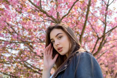 Uzun saçlı güzel bir kız çiçek açan sakura ağacının yanında bahar doğasının güzelliğinin tadını çıkarıyor. Sakura 'da deri ceketli bir kız..