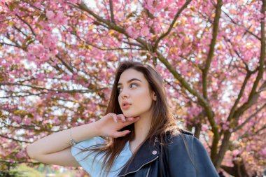 Uzun saçlı güzel bir kız çiçek açan sakura ağacının yanında bahar doğasının güzelliğinin tadını çıkarıyor. Sakura 'da deri ceketli bir kız..