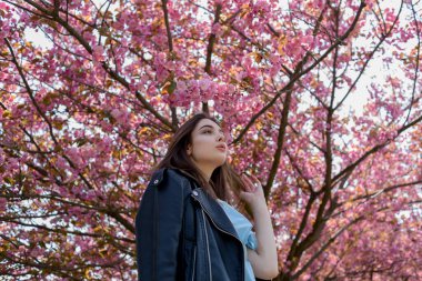 Uzun saçlı güzel bir kız çiçek açan sakura ağacının yanında bahar doğasının güzelliğinin tadını çıkarıyor. Sakura 'da deri ceketli bir kız..