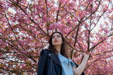 Uzun saçlı güzel bir kız çiçek açan sakura ağacının yanında bahar doğasının güzelliğinin tadını çıkarıyor. Sakura 'da deri ceketli bir kız..