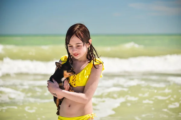 Beautiful Young Caucasian Girl Holding Love Her Little Chihuahua Pet — Stock Photo, Image