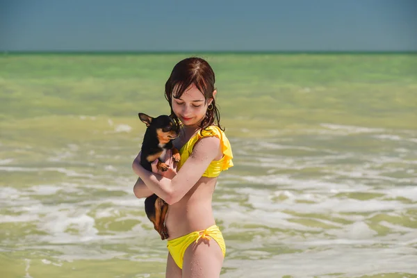 Beautiful Young Caucasian Girl Holding Love Her Little Chihuahua Pet — Stock Photo, Image