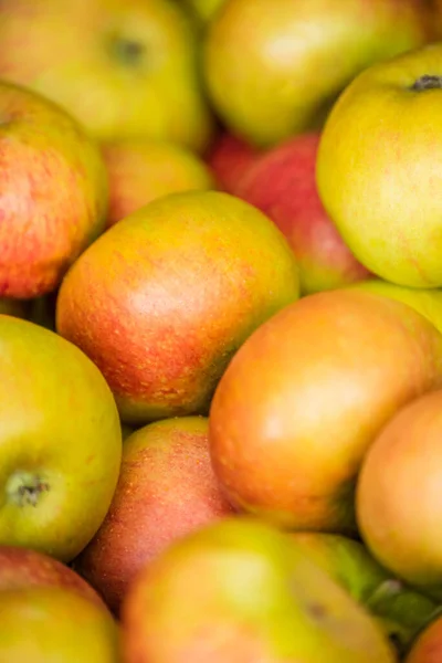 Fundo Maçãs Vermelhas Textura Muitas Maçãs Maçãs Amarelas Frutas Vitaminas — Fotografia de Stock