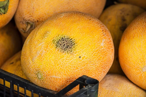 Melão Amarelo Melão Alimentos Saudáveis Vitaminas — Fotografia de Stock