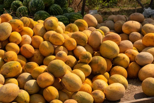 Ripe Melons Background Sale Fruits Pile Melons — Stock Photo, Image