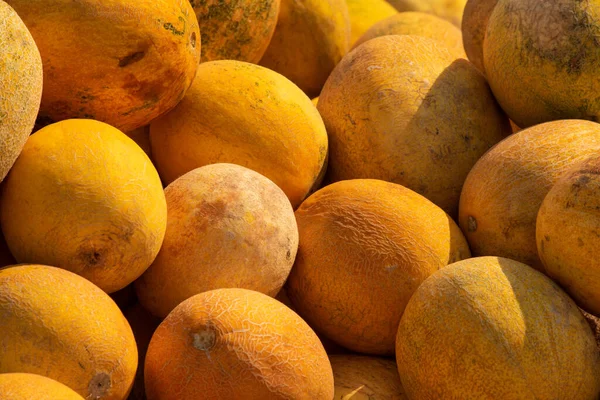 Rijpe Meloenen Achtergrond Voor Verkoop Van Fruit Stapel Met Meloenen — Stockfoto