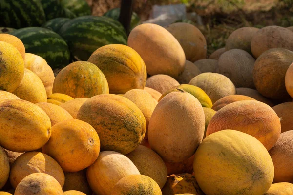 Melões Maduros Fundo Para Venda Frutas Pilha Com Melões — Fotografia de Stock