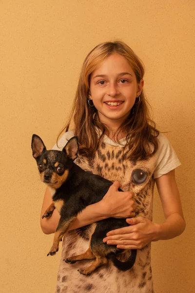 Urocza Dziewczynka Trzymająca Szczeniaka Chihuahua Stojąco Dziewczyna Trzymająca Ramionach Psy — Zdjęcie stockowe