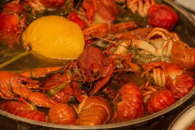 Tatlı su kerevitlerini tavada pişirmek. Kerevit kaynayan suda kaynıyor, yakın plan. Kerevit kaynıyor. Baharatlı kaynar suda kerevit pişirmek..
