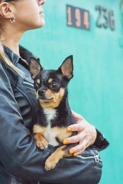 Kvinna Och Hund Människa Och Djur Kvinna Skinnjacka Med Hund — Stockfoto