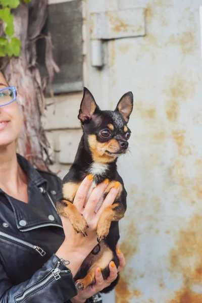 Woman and dog. Man and animal. Woman in a leather jacket with a dog in her arms. Pet dog