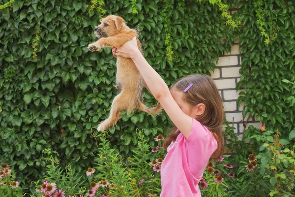 Menina Cão Rafeiro Livre Crianças Animais Rapariga Com Cão Rafeiro — Fotografia de Stock