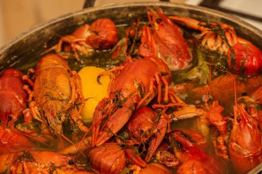 Tatlı su kerevitlerini tavada pişirmek. Kerevit kaynayan suda kaynıyor, yakın plan. Kerevit kaynıyor. Baharatlı kaynar suda kerevit pişirmek..