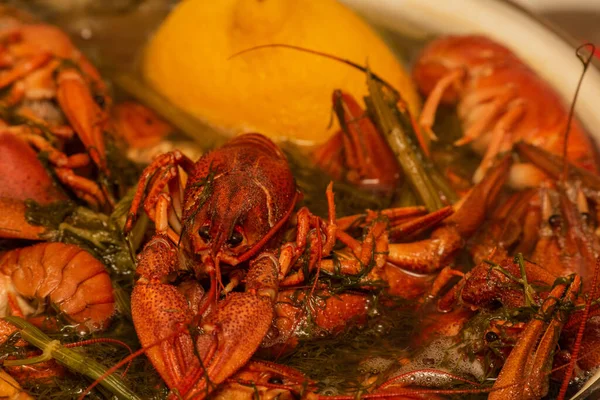 Zoetwatervissen Koken Een Pan Kreeften Koken Kokend Water Close Kreeften — Stockfoto