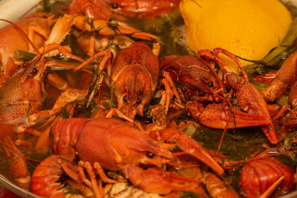 Zoetwatervissen Koken Een Pan Kreeften Koken Kokend Water Close Kreeften — Stockfoto