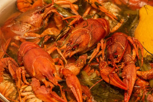 Cuire Les Écrevisses Eau Douce Dans Une Casserole Écrevisses Bouillir — Photo