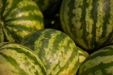 Karpuz yığını. Çiftçi pazarında bir yığın karpuz. Mevsimlik vitaminler
