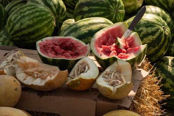 Pile Watermelons Heap Watermelon Farmers Market Seasonal Vitamins Watermelon Cut — Stock Photo, Image