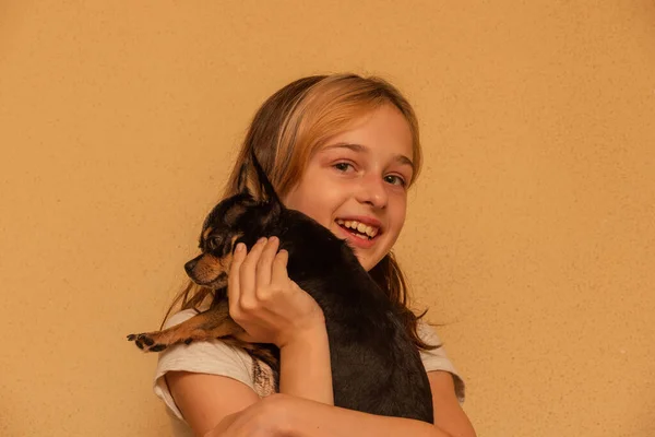 可爱的小女孩抱着吉娃娃站着 把奇瓦瓦犬抱在怀里的女孩 9岁或10岁的女孩 怀里抱着宠物 爱护动物的概念 — 图库照片
