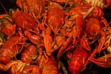 Tabakta kaynamış kerevit. Tabakta kaynamış kerevit. Yemek fotoğrafçılığı