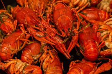 Tabakta kaynamış kerevit. Tabakta kaynamış kerevit. Yemek fotoğrafçılığı