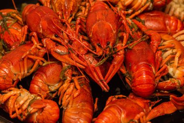 Tabakta kaynamış kerevit. Tabakta kaynamış kerevit. Yemek fotoğrafçılığı