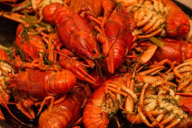 Tabakta kaynamış kerevit. Tabakta kaynamış kerevit. Yemek fotoğrafçılığı