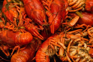 Tabakta kaynamış kerevit. Tabakta kaynamış kerevit. Yemek fotoğrafçılığı