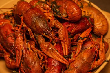 Tabakta kaynamış kerevit. Tabakta kaynamış kerevit. Yemek fotoğrafçılığı