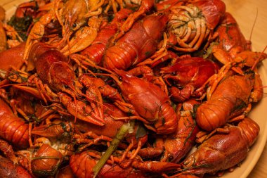 Tabakta kaynamış kerevit. Tabakta kaynamış kerevit. Yemek fotoğrafçılığı