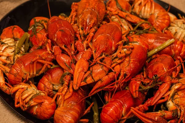 Tabakta kaynamış kerevit. Tabakta kaynamış kerevit. Yemek fotoğrafçılığı