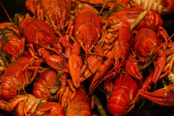 Tabakta kaynamış kerevit. Tabakta kaynamış kerevit. Yemek fotoğrafçılığı