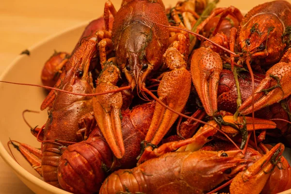 Tabakta kaynamış kerevit. Tabakta kaynamış kerevit. Yemek fotoğrafçılığı