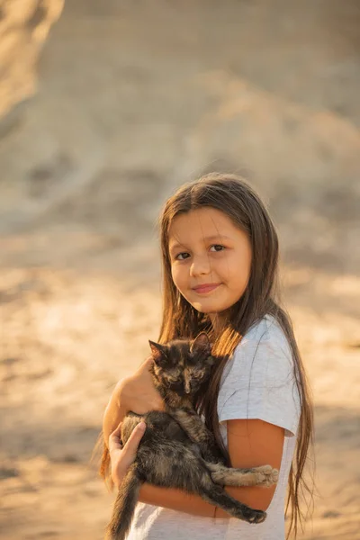 可爱的孩子和小猫的肖像 小女孩牵着一只小猫 在夕阳的光芒下 生活方式 跟猫玩的小孩 — 图库照片