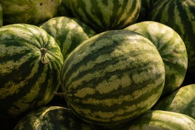 Karpuz yığını. Çiftçi pazarında bir yığın karpuz. Mevsimlik vitaminler