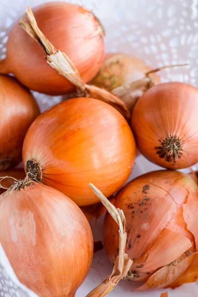 Onion Vegetable Fresh Autumn Crop Onions Big Heap Onions Nature — Stock Photo, Image